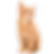 8.png