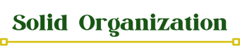 Solid Organization logo