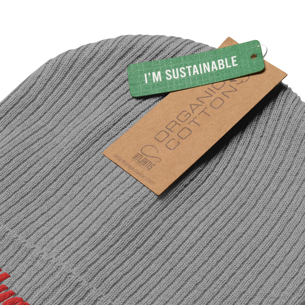 Thumbnail: Lollygagger Organic ribbed beanie, Embroidered Beany, Organic Cotton Beanie