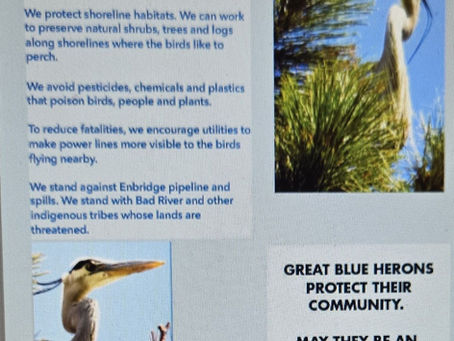 Be a Bold Advocate - to Protect Our Community! PLUS....USE METAPHOR + MESSAGE TO CREATE A POWERFUL POSTER
