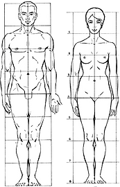 cuerpo-humano.png