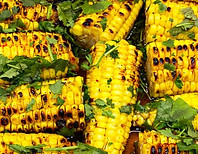 corn cobb