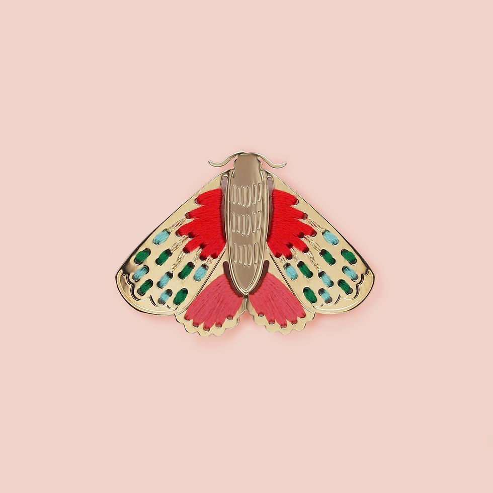 PAPILLON_NUIT_BROCHEXL_C