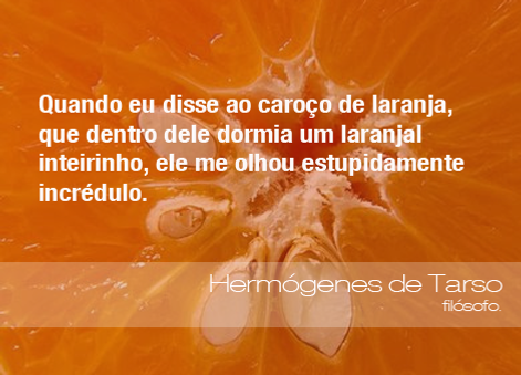 frases-tarso-180614.png