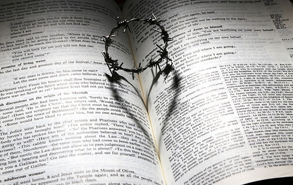 love-699480_1920.jpg