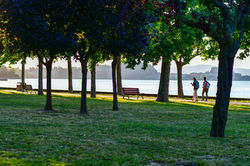 Hopper-Like in Bolsena Lake
