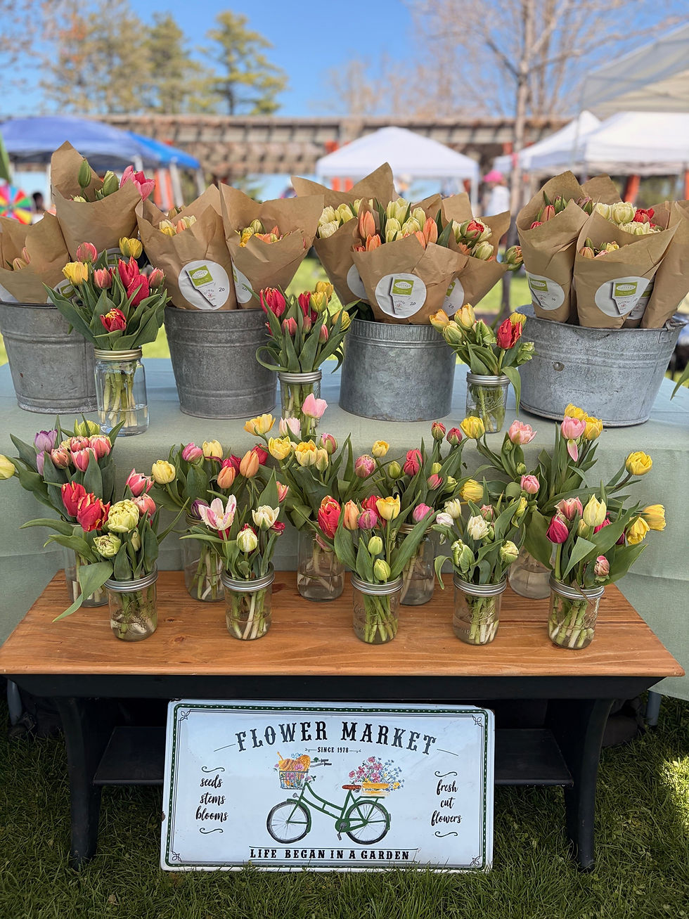 Plant Sale & Flower Bar