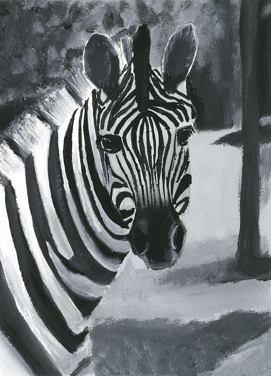 Zebra Gouache art  painting on paper