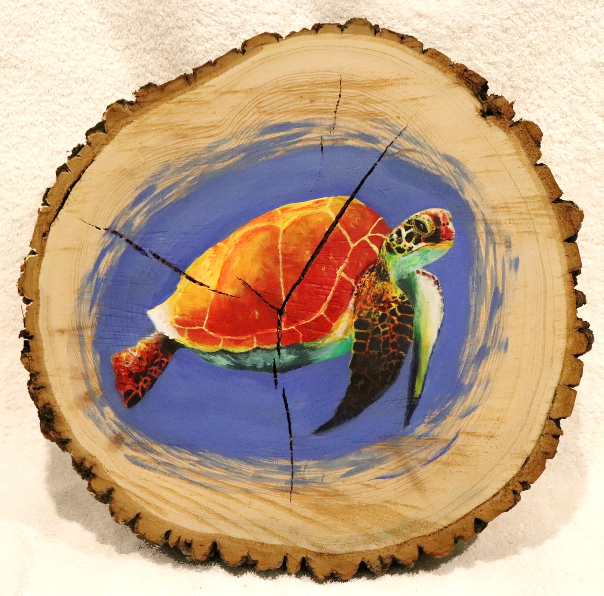 wood painting art sea turtle acrylic. 