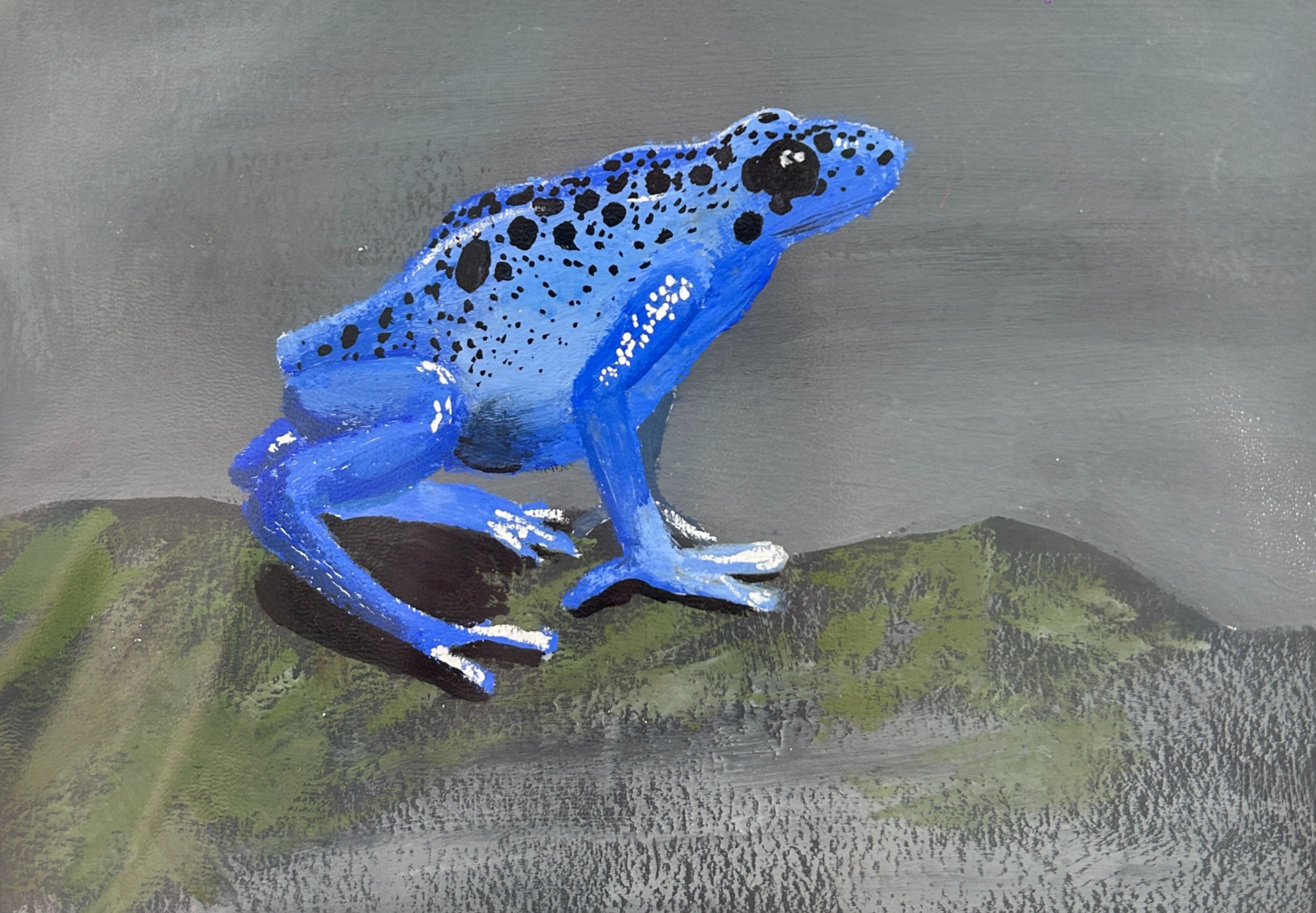 Dart Frog Gouache art  painting on paper