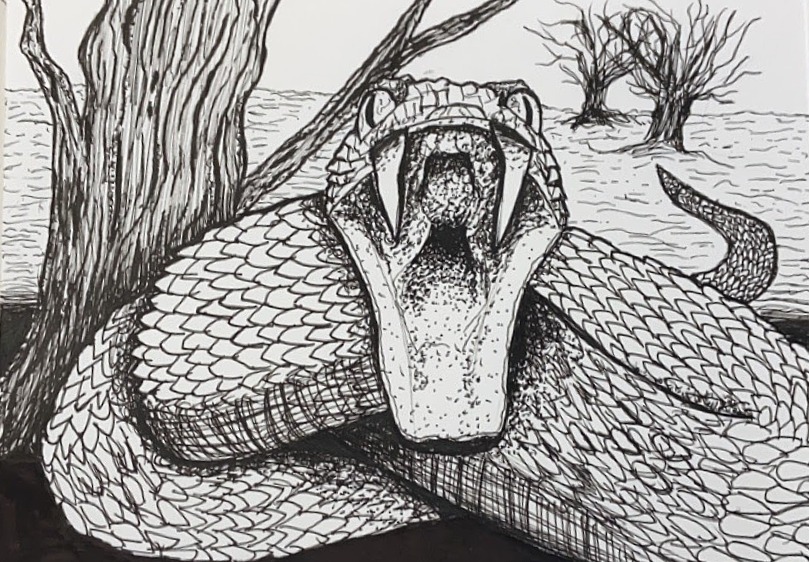 snake drawing ink paper art