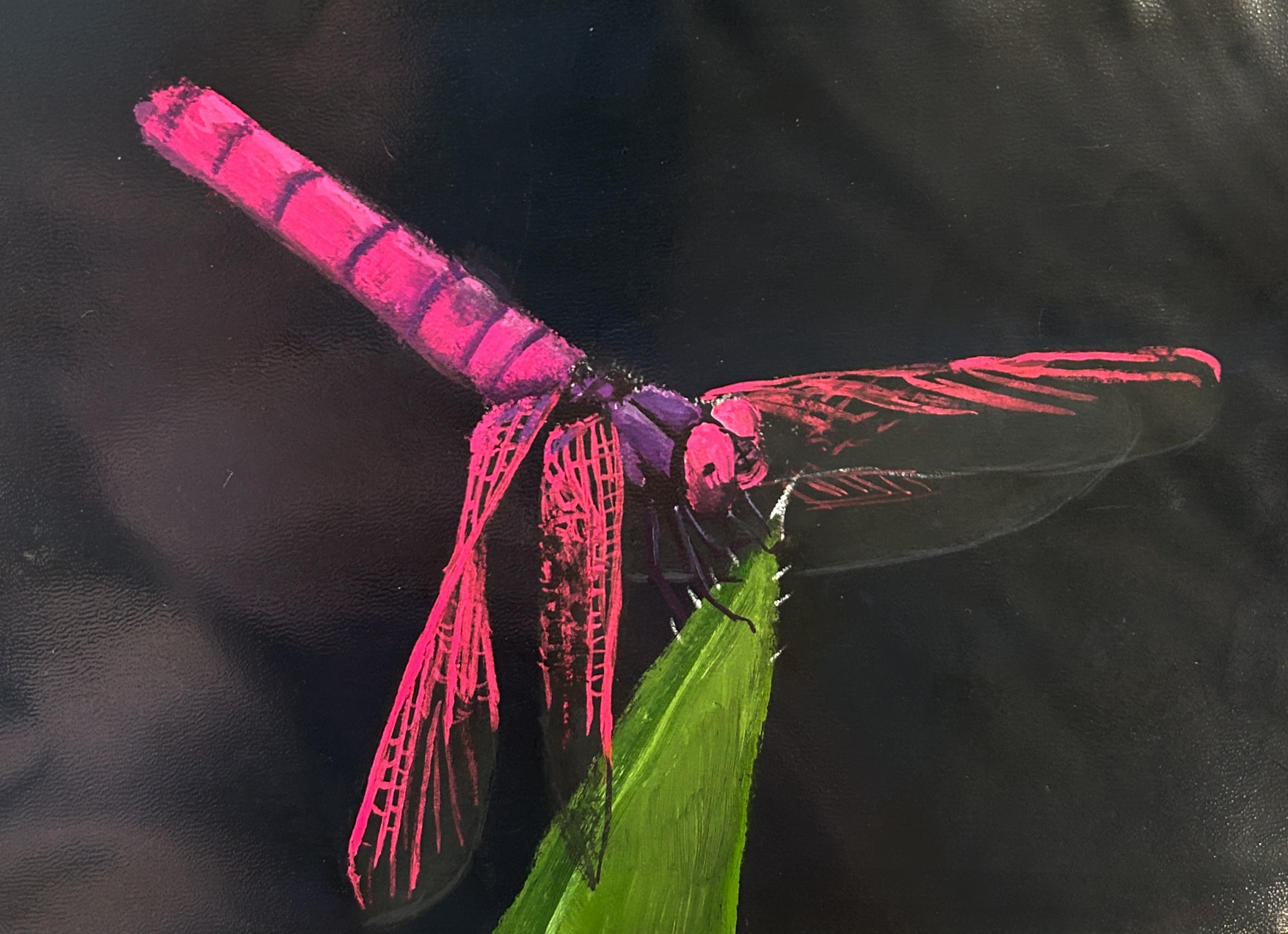 Dragonfly Gouache art  painting on paper
