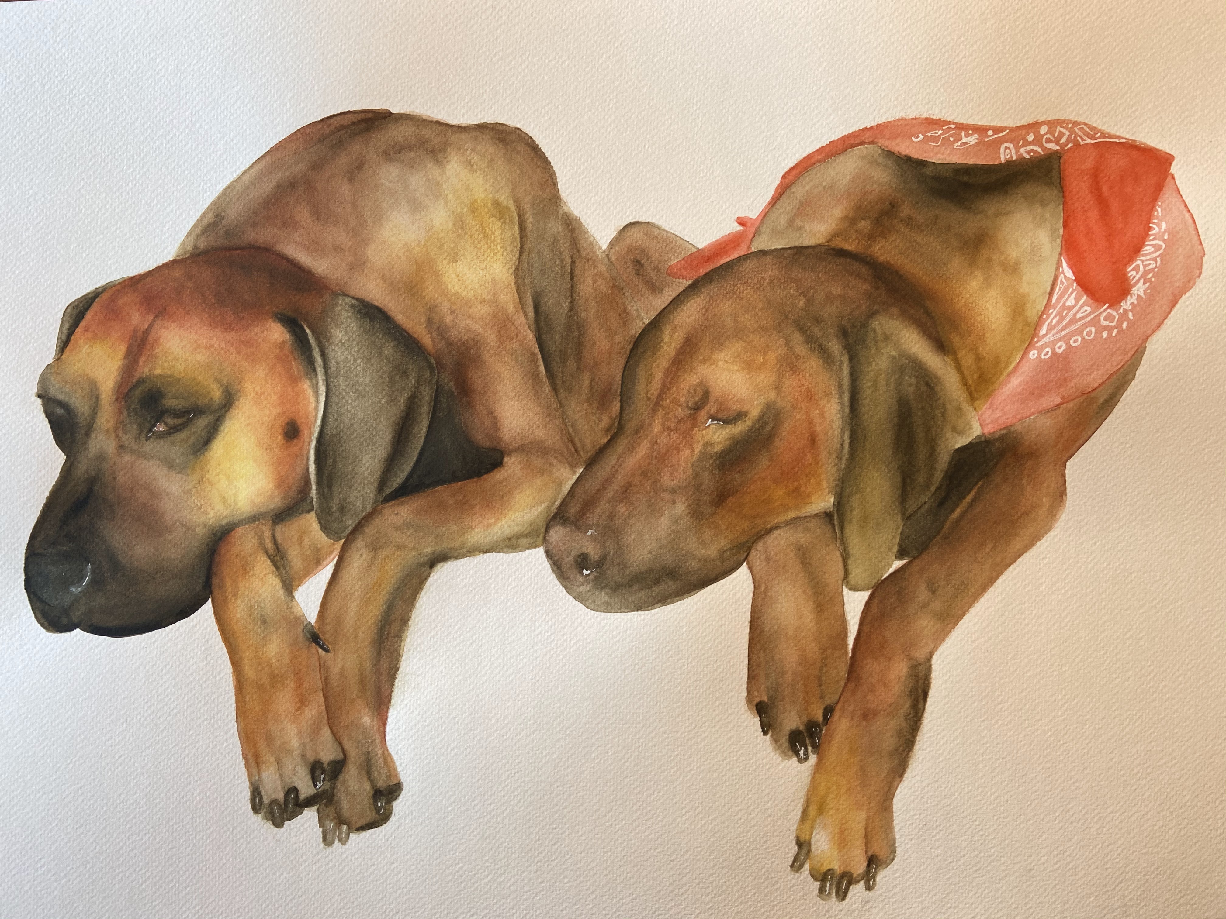 watercolor painting dogs art 