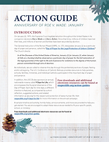 rlp-20-action-guide-roe-anniversary-thum
