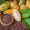 el-cacao-un-alimento-medicinal-y-un-remedio-de-belleza.jpg