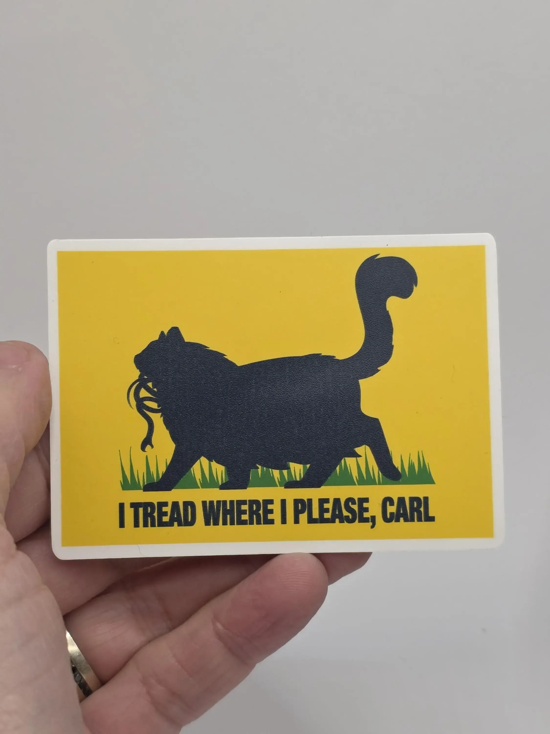 Vinyl Sticker - 3" tread where i please, carl Dungeon Crawler Carl inspired 3"