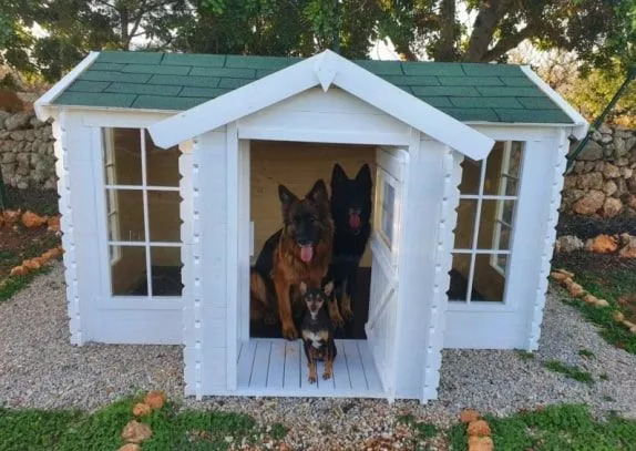 Hundehaus aus Blockbohlen