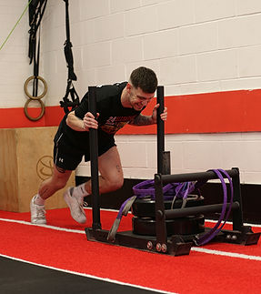 01 - 12.00 - 1.00PM - Ant 1.jpeg