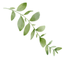Untitled (1024 × 1000 px) (4)_edited.png