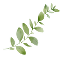Untitled (1024 × 1000 px) (4).png