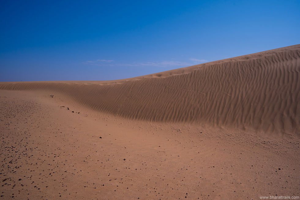 The  desert is something very very different than the ordinary land. It is not soothing like a green forest, not towering like mighty mountains. It do not moist the eyes like refreshing river. Still it is something far more profound. A drive or walk in the desert empties the mind like sand slipping from your fingers. Yet you are aware of the danger that lurks into the sand. You walk cautiously and free at the same time. 