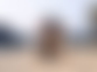 The Queen of Dark Lands