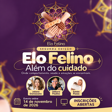 Imagem do ChatGPT 30 de set. de 2026, 16_51_39.png