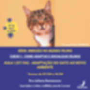 Curso 1 ABRIL (2).png