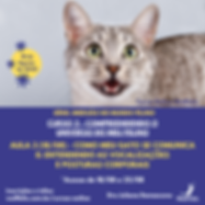 Curso 2 Agosto (4).png