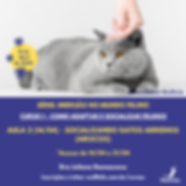 Curso 1 ABRIL (3).png