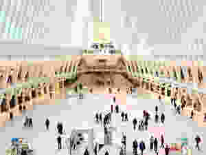 Oculus