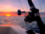 Anna Maria Island Sunset Shark Fishing / Anna Maria Island Fishing Charters