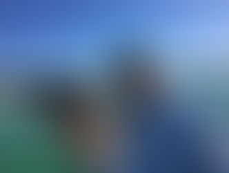 AMI Fishing Report | Feb. 12, 2017