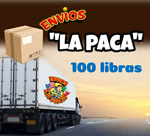 banner 100 LIBRAS.png