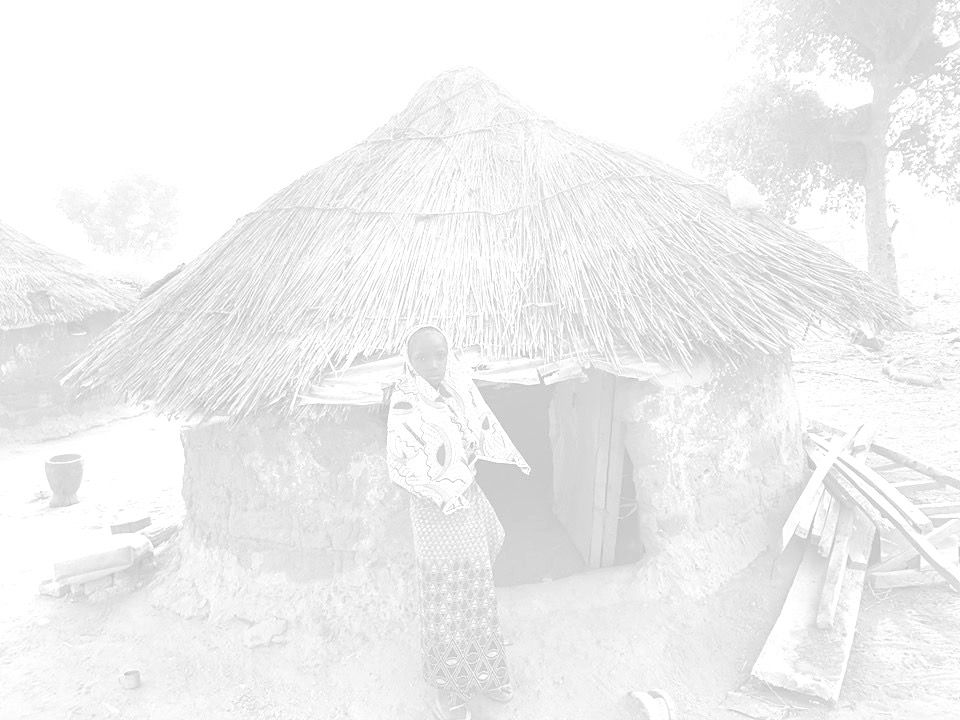 Fulani Village_edited_edited.jpg