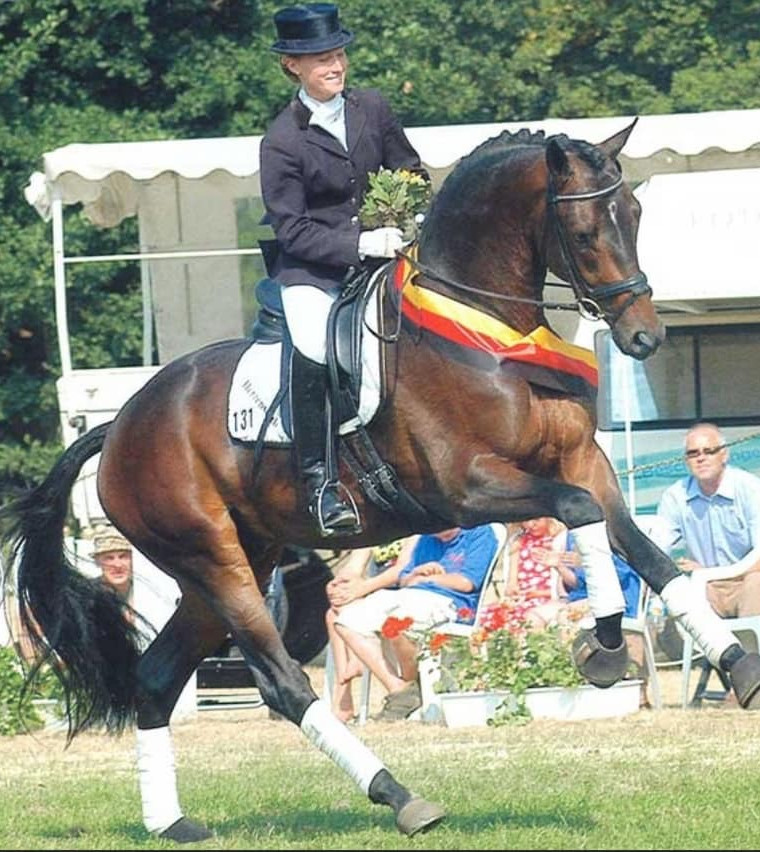 E.H Herzensdieb