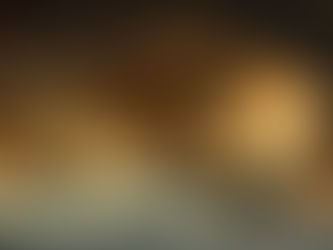 A dog taking a pause and enjoying a moment of sunshine