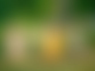 Ostara: giorno della fertilità e del rinnovamento.