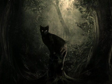 Il Gatto Nero: famiglio e compagno delle streghe.