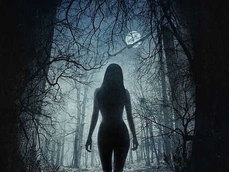 I 4 principi fondamentali che una Strega non deve dimenticare.