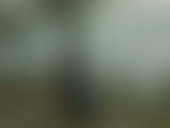 Il giardino della Strega.