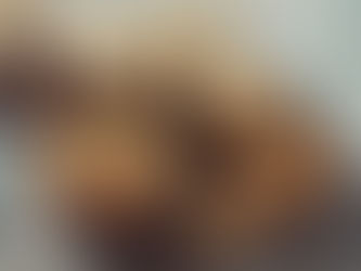 Le qualità curative dello Zenzero.