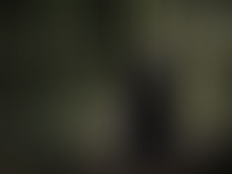 La raccolta delle erbe magiche.