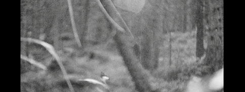 Bildschirmfoto 2025-07-31 um 10.06.52.png