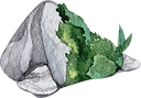 nature rock 2.png