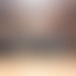 Educadores orionistas se reúnen en Los Ángeles para fortalecer la misión educativa en nuestra obra