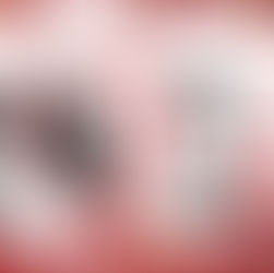 ¿Qué dijo el Superior General de nuestra Obra en el comienzo de año?