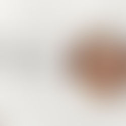 Pascua de la sra. Abelina Aguilera Villanueva, madre del p. Gustavo Valencia fdp