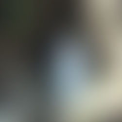 DON ORIONE Y LA VIRGEN DE LOURDES