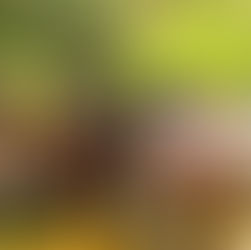 MLO realizó encuentro de formación para la comunidad orionista de Los Ángeles